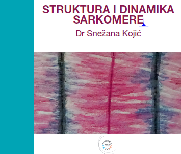 struktura i dinamika sakromere